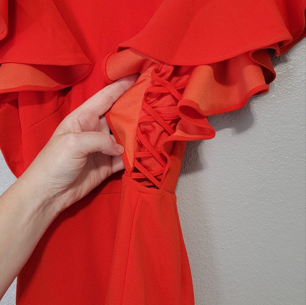 Hello Molly Red Ruffle Mini Dress - Picture 5 of 8